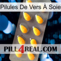 Pilules De Vers À Soie cialis1